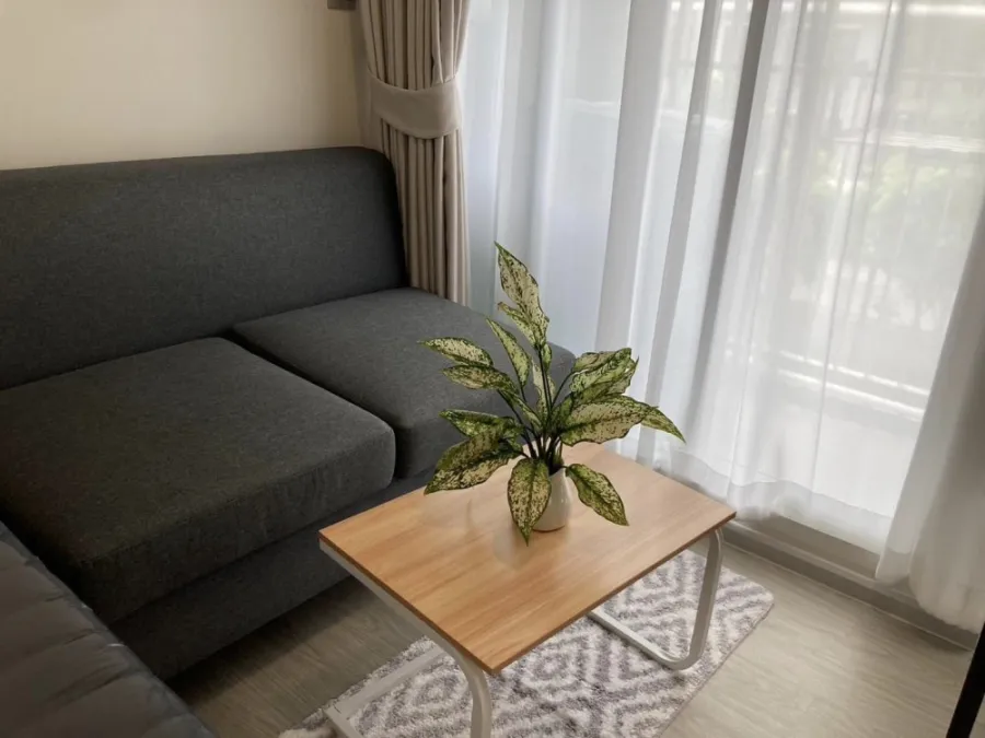 For rent: Kave Town Island, 2nd floor, simply decorated room, minimalist style, don't miss out on booking, hurry!