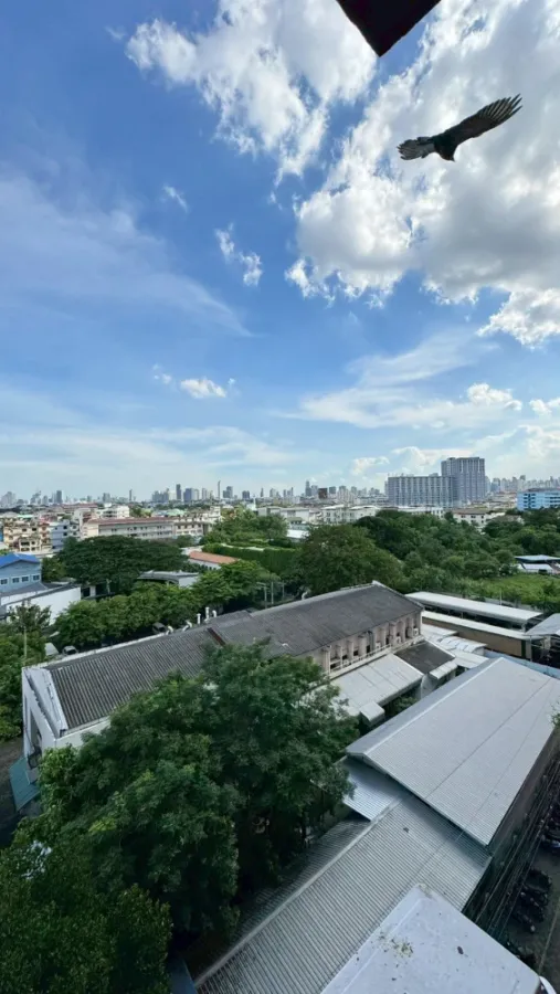 ขาย ให้เช่า Pattanakarn Life Complex ห้องน่าอยู่ มาพร้อมเฟอร์ครบครัน จองเลย