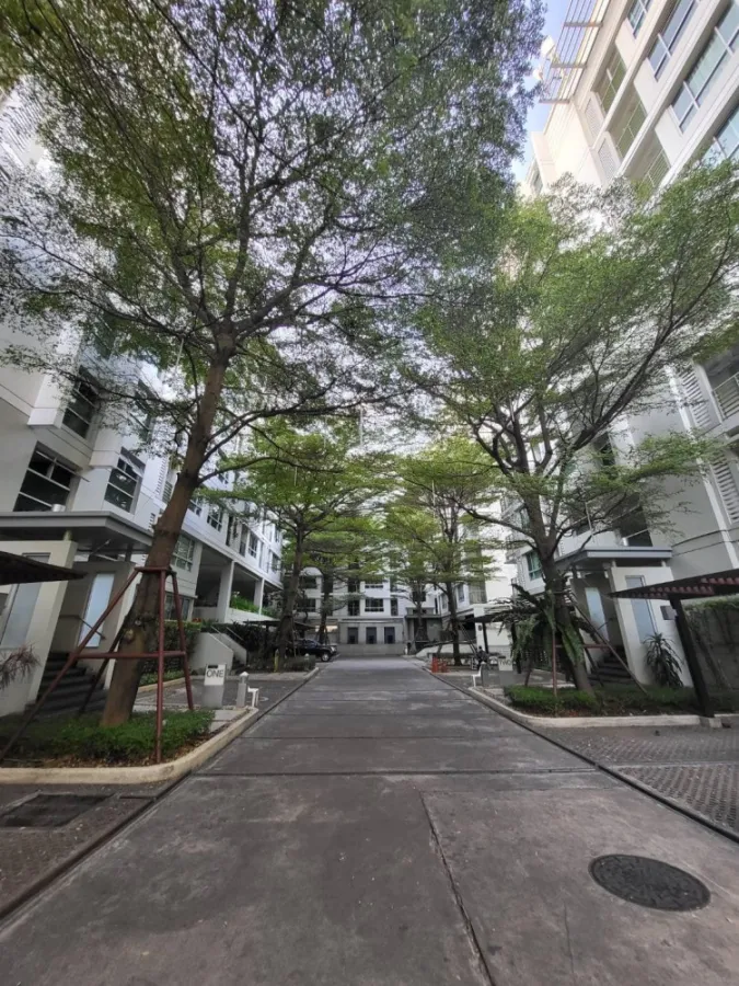 ให้เช่า คอนโด เดอะ รูม สุขุมวิท 79 เฟอร์ครบ พร้อมอยู่ เดินทางสะดวก รีบจองก่อนหลุด!!