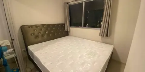 ปล่อยเช่า Plum Condo Park Rangsit ชั้น 2 วิวสระว่ายแจ่มๆ เฟอร์ครบจัดเต็ม รีบจองเลย ก่อนหลุดมือน้า