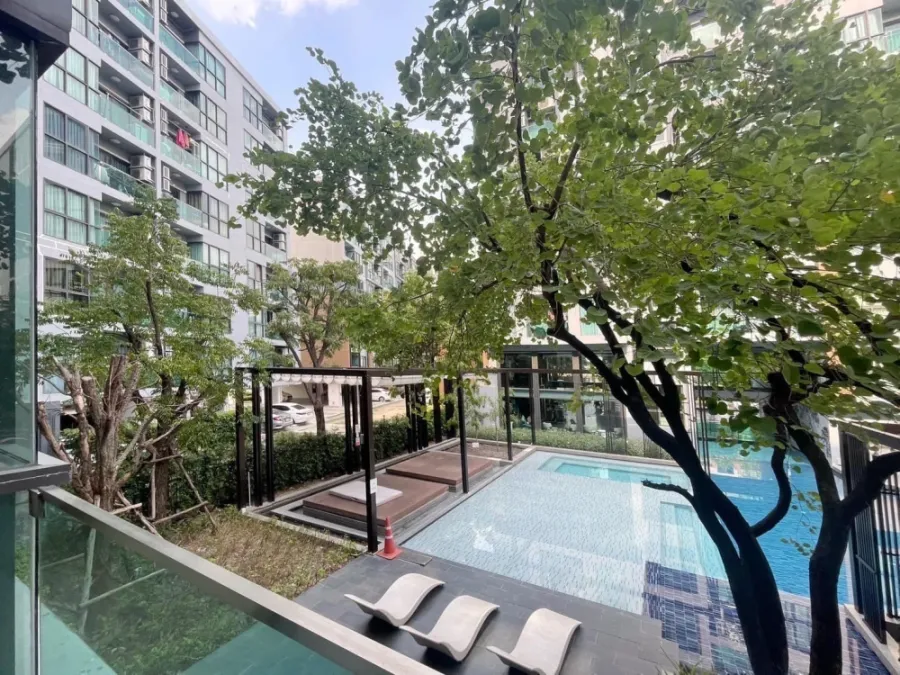 Urgent sale, The Excel Hideaway Sukhumvit 50, pool view room, nice price, you must hurry to reserve.