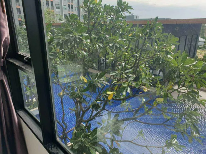 ปล่อยเช่า คอนโด แอสปาย สาทร-ตากสิน ห้องสวย บรรยากาศดี วิวสระว่ายน้ำ ห้องดีอย่าปล่อยให้หลุดมือ