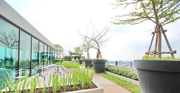 ให้เช่า คอนโด เอ สเปซ มี บางนา ชั้น 11 วิวเมือง พร้อมอยู่ ราคาดี ห้ามพลาด!