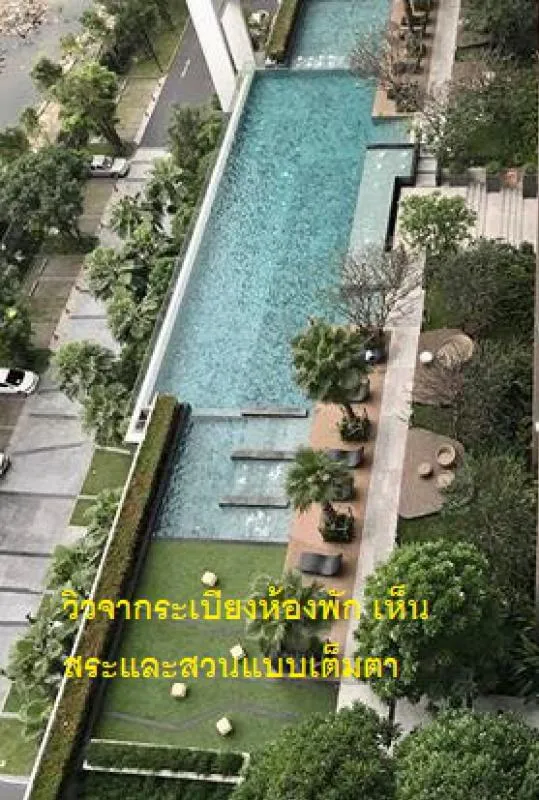 ปล่อยขาย The Parkland Phetkasem วิวดี วิวสวย ปลอดโปร่งสายตา รีบด่วนหมดแล้วหมดเลย