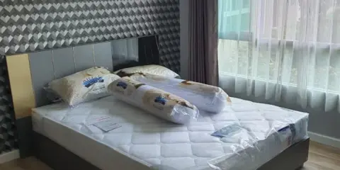 For Rent ดีคอนโด แคมปัสโดม รังสิต เฟส 2 ห้องสวยมาก ผนังติดวอลแจ่มๆ แถมได้วิวสวนสวยๆ ไม่จองไม่ได้แล้ว