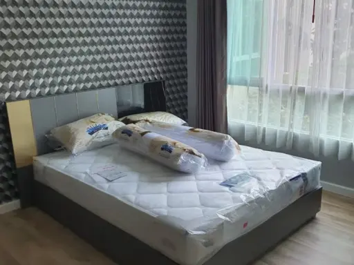 For Rent ดีคอนโด แคมปัสโดม รังสิต เฟส 2 ห้องสวยมาก ผนังติดวอลแจ่มๆ แถมได้วิวสวนสวยๆ ไม่จองไม่ได้แล้ว