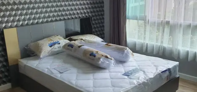 For Rent ดีคอนโด แคมปัสโดม รังสิต เฟส 2 ห้องสวยมาก ผนังติดวอลแจ่มๆ แถมได้วิวสวนสวยๆ ไม่จองไม่ได้แล้ว images