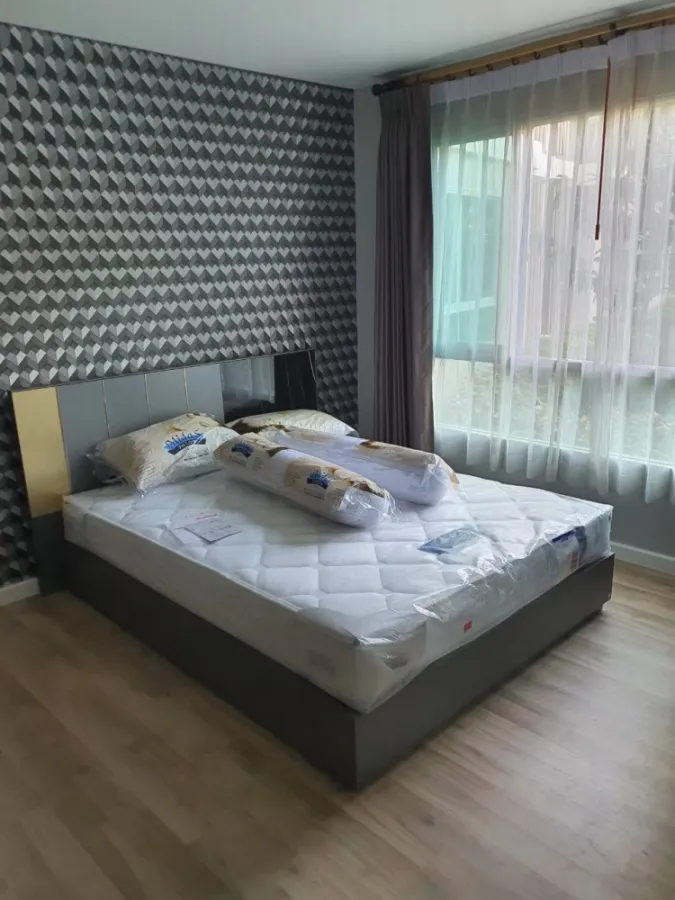 For Rent ดีคอนโด แคมปัสโดม รังสิต เฟส 2 ห้องสวยมาก ผนังติดวอลแจ่มๆ แถมได้วิวสวนสวยๆ ไม่จองไม่ได้แล้ว
