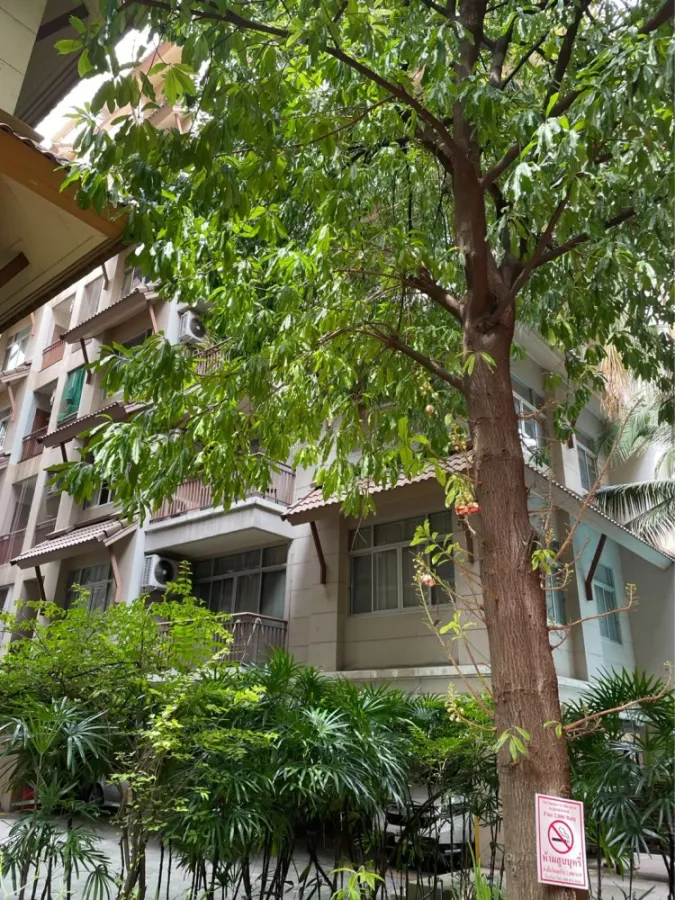 ให้เช่า คอนโด กลางกรุง รีสอร์ท รัชดา 7 ชั้น 6 ตึก B2 ห้องสวย ส่วนกลางดี เฟอร์นิเจอร์ครบ ห้ามพลาด!!