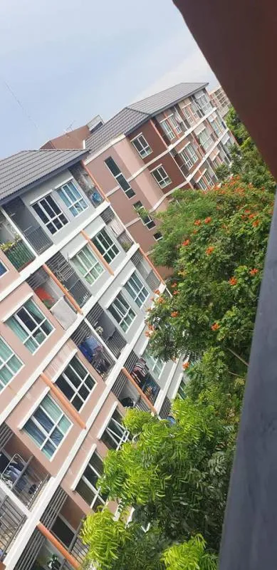 ขายคอนโด ไมอามี่ บางปู ตึก 26 ชั้น 5 ห้องมุม วิวสวน รีบเลยจ้า