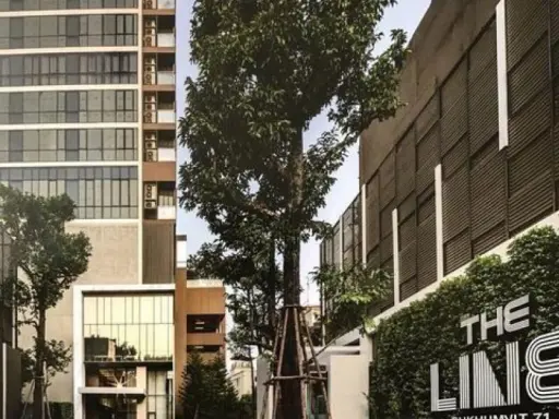 ให้เช่า the line sukhumvit 71 เดินทางสะดวกใกล้ bts ชั้น 8 มีเครื่องซักผ้า ให้ไว ช้าอด images