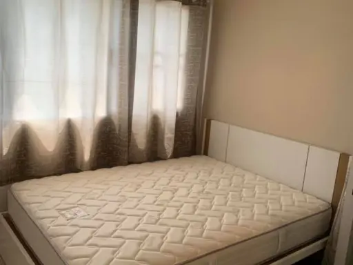ให้เช่า Plum condo park rangsit เฟส 1 ห้องตกแต่งเรียบง่าย สบายตา อบอุ่นเหมือนอยู่บ้าน สนใจรับเลยจ้า