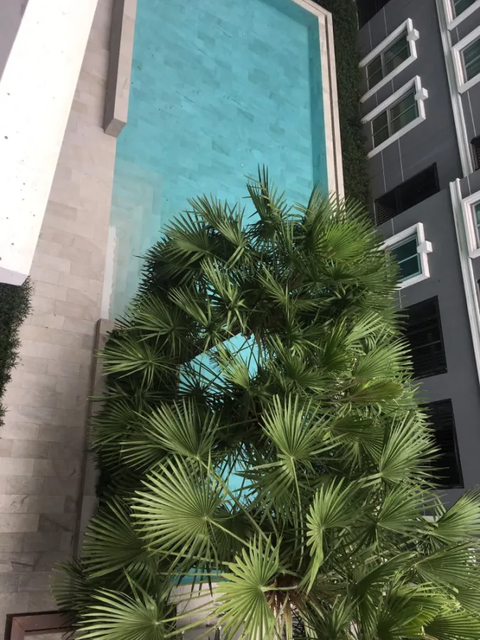 Condo for rent, Plum Condo Chaengwattana, Phase 2, ready to move in complete facilities The most affordable price. Hurry up to reserve.