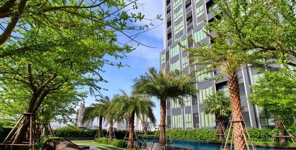 Condo for sale/rent: Ideo Mobi Sukhumvit Eastgate, 15th floor, swimming pool view, corner room, built-in furniture + electrical appliances + washing m