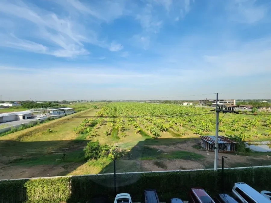 Plum Condo Rangsit Alive 1 for rent, clearly separated rooms, great price, all in one place, you can't miss it.