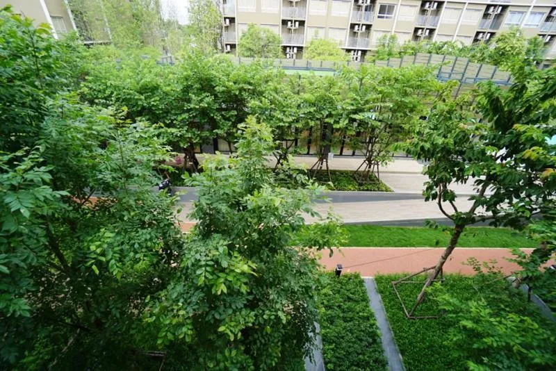 ให้เช่า Plum Condo Rangsit Alive 2 ห้องสวยใหม่เอี่ยม ภายในตกแต่งโทนสีสบายตา เฟอร์ครบ จองเลย ด่วนๆๆ