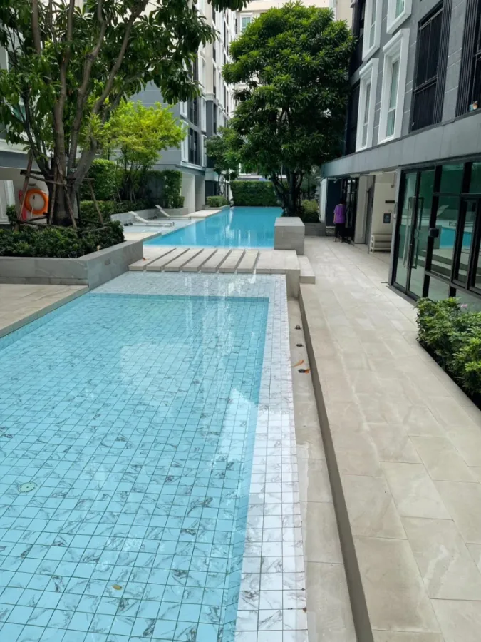 🌿🏢 ขาย & ให้เช่า Plum Condo Mix แจ้งวัฒนะ สเตชั่น | ห้องใหม่ วิวสระ เดินถึง BTS! 🏢🌿