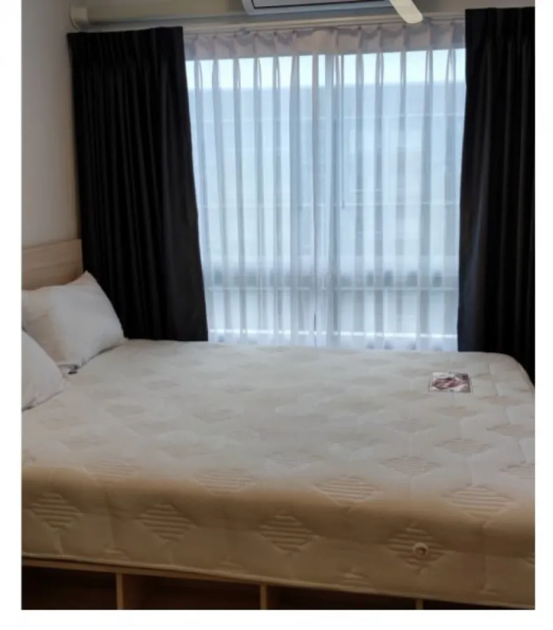 For rent พลัมคอนโด รังสิต อไลฟ์ เฟส1 ชั้น 7 เฟอร์ครบ วิวส่วนกลางแจ่มๆ จองแล้วจะไม่เสียใจรับรองจ้า