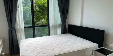 ให้เช่า ไอคอนโด เสรีไทย กรีนสเปซ ชั้น 4 ห้องน่าอยู่ แต่งครบ สนใจจองเลย