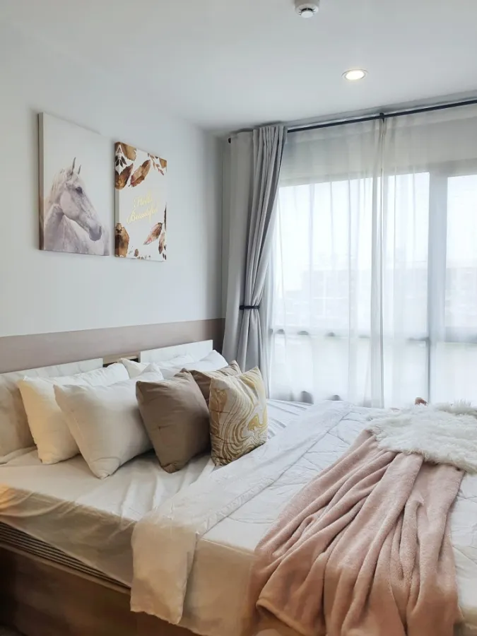 ให้เช่า รีช พหลโยธิน 52 ห้องสวยน่าอยู่ โทนสีละมุนตา ราคาสบายกระเป๋า จองก่อนได้อยู่ก่อนจ้า
