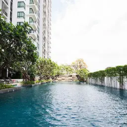 Rent condo The Room Sukhumvit 62