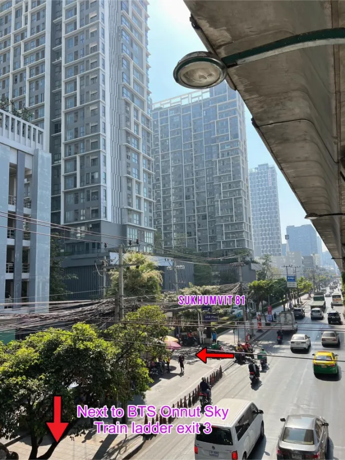 For rent, My Condo Sukhumvit 81, good view, no buildings blocking it, very nice to live in. Reserve first, get to stay first.