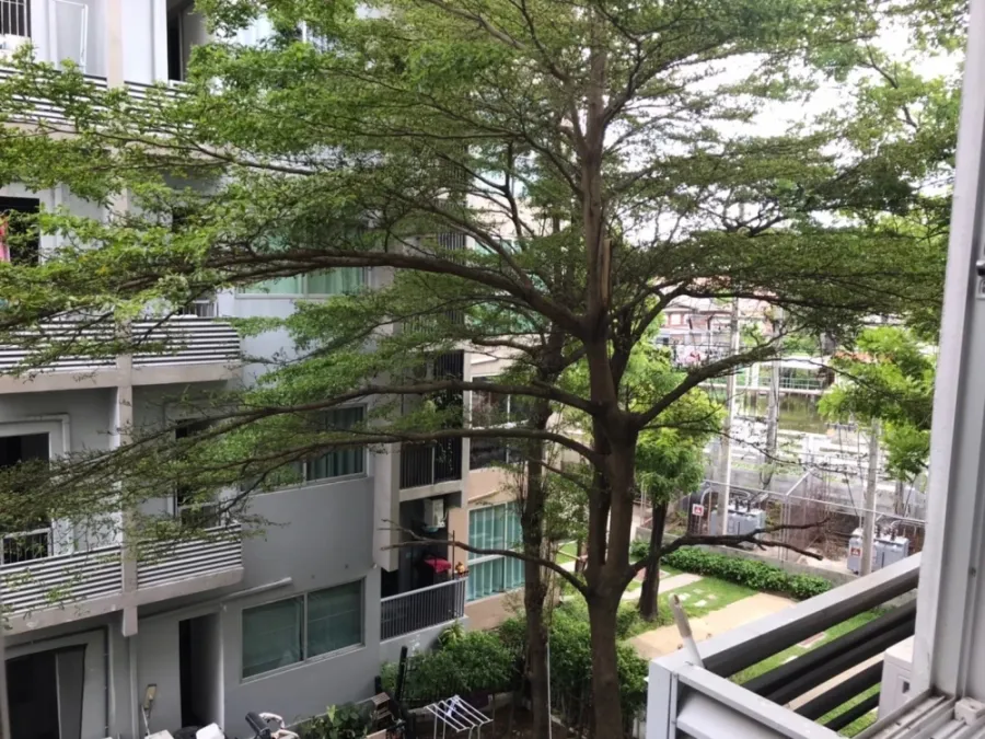 Condo for sale, rent, A Space Sukhumvit 77, fully furnished, near BTS On Nut, can't miss it.