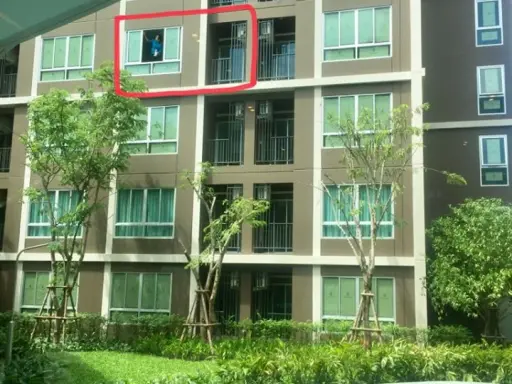 ห้องสวยราคาดี วิวสระว่ายน้ำ Dcondo ดีคอนโด แคมปัส โดม-รังสิต (dcondo เฟส 3) ด่วน images