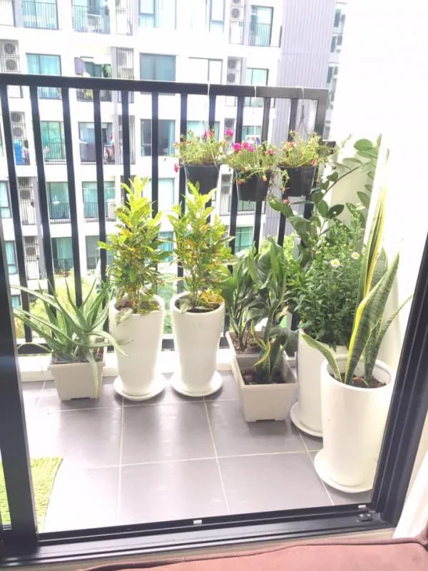 ขาย/เช่า ด่วน!! คอนโด เดอะนิช โมโน สุขุมวิท 50 ทำเลดี เดินทางสะดวกใกล้รถไฟฟ้า และจุดขึ้นลงทางด่วน อย่าช้าจองเลยค่ะ!!