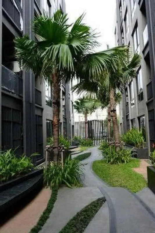 **ให้เช่าคอนโด The tree privata**ห้องแต่งสวย เฟอร์แน่นๆ บรรยากาศร่มรื่น มาจองด่วนน!!