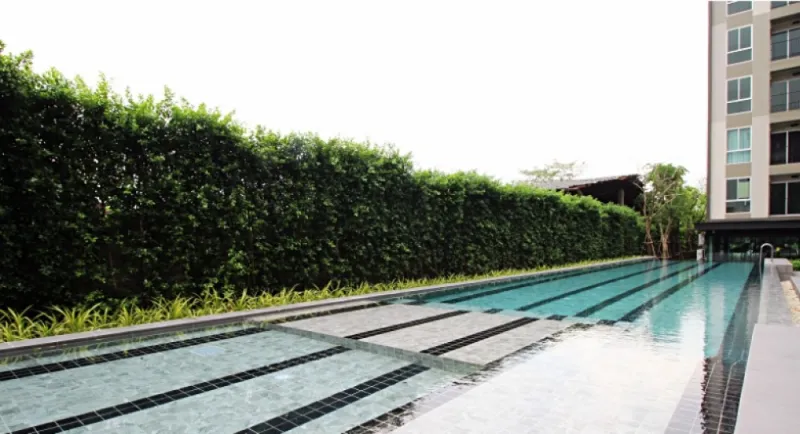 ขาย พลัมคอนโด โชคชัย 4 ห้องสวย ตำแหน่งดี ห้องริม เป็นส่วนตัวมากก ใครได้เป็นเจ้าของโชคดีสุดๆ จองเลย