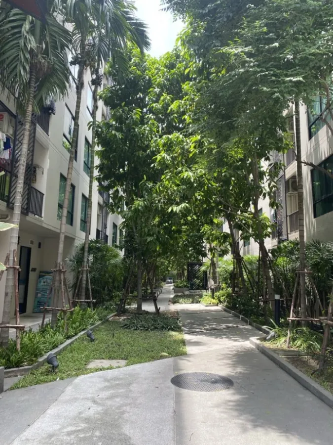 Urgent sale, Condo Lesto Sukhumvit 113, 6th floor, Building A, beautiful room, fully furnished, good price, hurry to book now