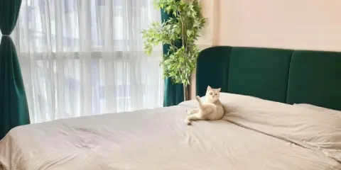 ขาย ดิ ไอริส บางใหญ่ ห้องรีโนเวทใหม่ น่าอยู่สุดๆ มาพร้อมเตียงนอนอย่างดี ไม่จองถือว่าพลาดมาก