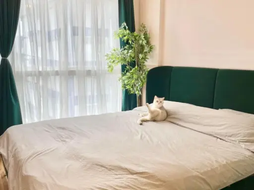 ขาย ดิ ไอริส บางใหญ่ ห้องรีโนเวทใหม่ น่าอยู่สุดๆ มาพร้อมเตียงนอนอย่างดี ไม่จองถือว่าพลาดมาก images