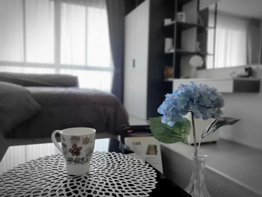 For Rent ดีคอนโด แคมปัสโดม รังสิต เฟส 3 ห้องสวยมากกก ตกแต่งพร้อมเฟอร์นิเจอร์ครบ ไม่จองเสียใจแทน