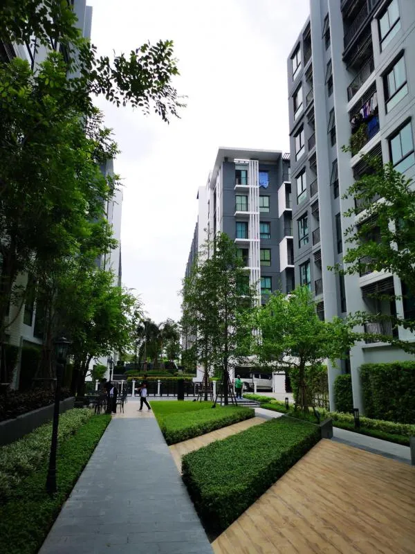 For sale, for rent!! Condo Notting Hill Sukhumvit 105, 6th floor, Building F, beautiful room, built-in furniture, hurry to book now!!