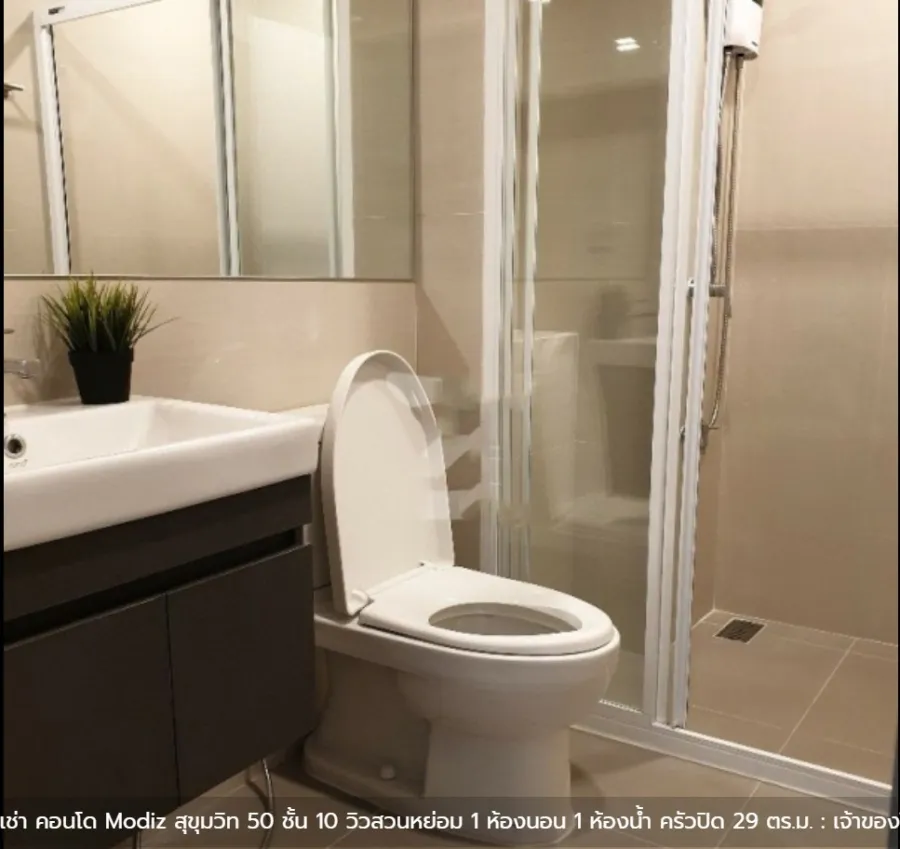 Condo for rent, Modiz Sukhumvit 50, easy to travel, comfortable. ready to move in