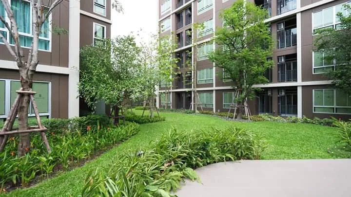 ขาย dcondo Campus Dome Rangsit ชั้น 3 ห้องน่าอยู่ แต่งครบ สนใจเป็นเจ้าของ รีบจองเลย