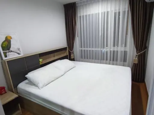 ให้เช่า รีเจ้นท์ โฮม สุขุมวิท81 ขนาด 28 ตร.ม. เดินทางสะดวกใกล้ bts เฟอร์ครบ มีเครื่องซักผ้า ห้ามพลาด images