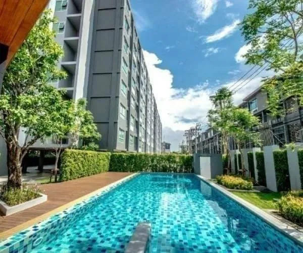 ขาย ให้เช่า คอนโด แอสปาย ลาดพร้าว 113 ห้องตกแต่งวอลเปเปอร์ วิวดี ไม่มีตึกบัง พลาดแล้วจะเสียใจ