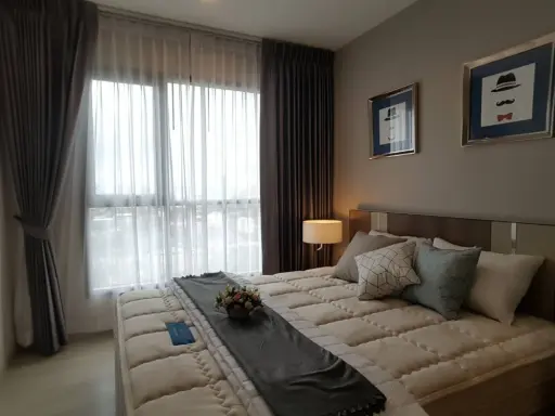 ให้เช่า คอนโด ไลฟ์ สุขุมวิท 48 ห้องสวยสุด น่าอยู่สุด เเต่งครบสุด เครื่องใช้ไฟฟ้าครบเเละขนาดใหญ่สุด images