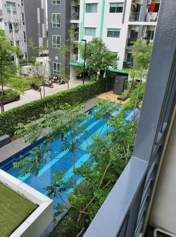 Condo for rent, The Niche ID Serithai, new room, pool view, ready to move in, don't miss it