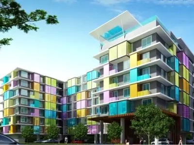 The Colory Vivid