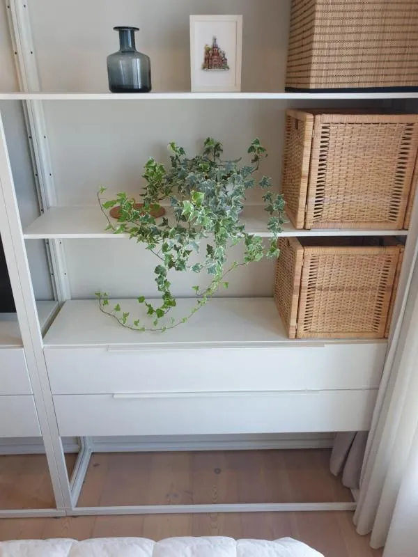 ขายคอนโด Life สุขุมวิท 48 ห้องสวย เฟอร์ครบ เดินทางสะดวกใกล้ bts ตกแต่งพร้อมอยู่