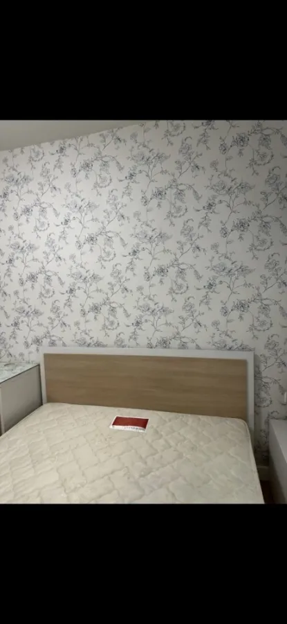For rent, My Condo Sukhumvit 52, beautiful room, beautiful decoration, fully furnished, don't miss it, hurry up.