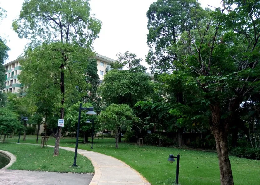 ให้เช่า เดอะ พาร์คแลนด์ บางนา ห้องสวย เฟอร์นิเจอร์พร้อมอยู่ อย่ารอช้า