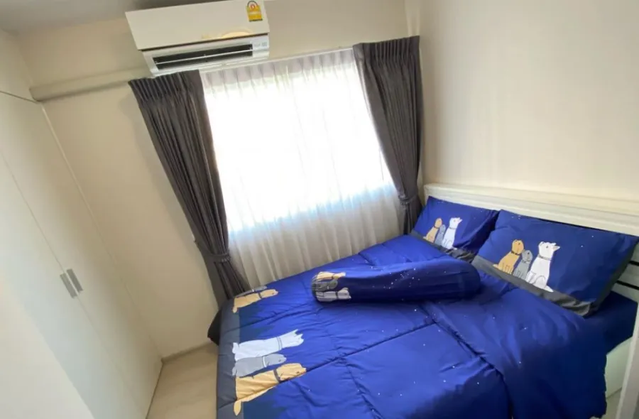 Plum Condo Park Rangsit ให้เช่า ตกแต่งวอลเปอร์รอบห้อง เฟอร์บิวท์อิน ห้องดีแบบนี้ไม่จองไม่ได้แล้ว