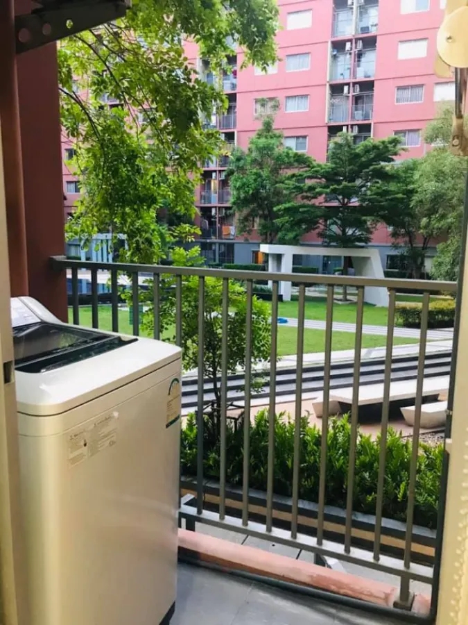 For rent Plum Condo Park Rangsit ตกแต่งลงตัว เฟอร์นิเจอร์อย่างดีทั้งห้อง ไม่จองคือพลาดมากจ้า