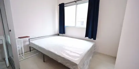 ให้เช่า Plum Condo park rungsit phase 3 ห้องตกแต่งน่าอยู่มากก มีทุกอย่างครบ มาแต่ตัวเข้าอยู่ได้เลย