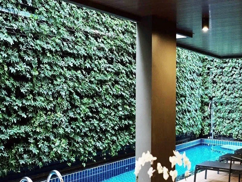 ขาย ให้เช่า สวนบัว เรสซิเดนซ์ อารีย์ ราชครู ห้องกว้างขวาง พื้นที่ใช้สอยเยอะ ราคาจับต้องได้ รีบมาจอง